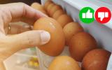 É isso que acontece com o colesterol se comer 12 ovos por semana, segundo a ciência