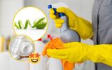 Limpador multiuso caseiro com casca de limão remove até manchas antigas: veja como fazer e economize