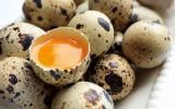Receita de Bolo sem ovos (para quem não pode comer ovo), enviada por elaine  bin - TudoGostoso