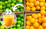 Quanto mais lisa a casca do limão e da laranja, mais suco terão: verdade ou mito? Vem que o TudoGostoso tira a dúvida!