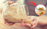 Benefícios da quinoa: o que acontece com o seu corpo se ingerir 2 colheres de sopa por dia da poderosa e nutritiva semente
