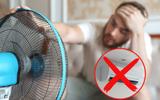 Cinco vezes menos energia e sem gás: esta é a invenção francesa que quer substituir o ar-condicionado