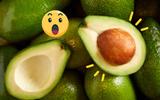 Abacates frescos por três meses com esse truque simples: para dar certo, o abacate precisa estar macio e maduro