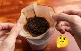 Pode descartar borra de café na pia da cozinha ou é melhor jogar no lixo? A resposta é surpreendente