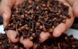 Muito além de um refrescante bucal: 6 motivos para mastigar cravos-da-índia após as refeições