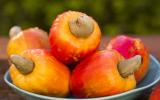Caju tem proteína? Veja como aproveitar esse benefício pouco conhecido da fruta