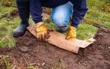 Poucas pessoas sabem, mas usar papelão no jardim é um verdadeiro tesouro para a plantação