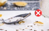 Adeus formigas: o truque simples da vovó que dá certo, é só colocar na cozinha