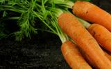 4 alimentos que ajudam a prevenir o câncer de mama