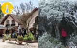 Ô friozinho bom! 9 destinos de inverno no Brasil para curtir as temperatura baixas da estação sem sair do país