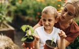As plantas que você deve cultivar em outubro de acordo com cada região do país