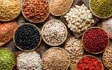Do carioca ao azuki: todo feijão é igual? Nutricionista detalha diferenças no sabor e nos benefícios