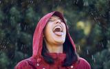 Pode beber água da chuva? Aprenda como aproveitar e economizar sem colocar a saúde em risco