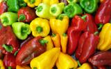 Existe pimentão macho ou fêmea? Entenda a polêmica sobre o formato do alimento e se há diferença no sabor
