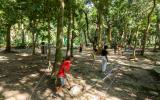 Mês das Crianças no Parque Lage RJ terá atividades gratuitas até o dia 28; veja programação completa!