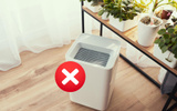 Não precisei mais usar o purificador de ar depois que descobri que uma única planta faz isso!