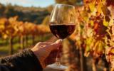 Mito ou verdade: uma taça de vinho por dia faz mesmo bem para o coração?