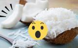 Com quantos anos você descobriu que é muito simples soltar o coco da casca dura