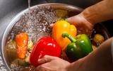 Principais erros que você pode fazer na cozinha e que colocam sua vida em risco!