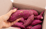 O que acontece com o corpo se você comer batata-doce todos os dias? Essa nutricionista explica os benefícios