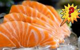 Você está comendo salmão de verdade ou está sendo enganado? Vem entender a polêmica!