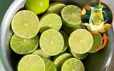 Truque simples pra extrair suco daquele limão duro que parece estar seco