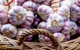 Coloquei um dente de alho no jardim e as minhas rosas nunca mais foram as mesmas