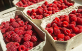 Os benefícios da framboesa: fruta vermelha só é pequena no tamanho, conheça as grandes vantagens de incluir essa delícia na alimentação