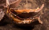 Ovo Twix é a combinação perfeita de chocolate, caramelo e biscoito que você precisa fazer nesta Páscoa!