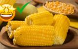 Benefícios do milho: entenda o impacto desse ingrediente na saúde e qual é a melhor forma de consumi-lo