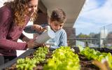 Nem todo dia, nem só uma vez por semana: descubra a frequência ideal de regar a sua horta de vegetais