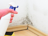 Como remover o mofo da parede e evitar que ele retorne? O TudoGostoso tem as dicas que vão te salvar durante a alta umidade no inverno