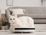 Quem sofre com pelos de cães e gatos pela casa precisa conhecer estes aspiradores de pó
