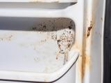 3 truques para evitar que sua geladeira se torne um criadouro de bactérias e fungos