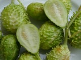 Esse vegetal esquecido nas feiras é um dos mais poderosos: conheça os benefícios do maxixe e como prepará-lo