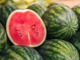 Guia prático do TudoGostoso para escolher a melancia mais doce do mercado: o segredo está nestes detalhes