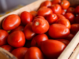 Faz mal comer tomate mole? Veja como saber se o alimento está estragado e quando não precisa jogar fora