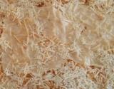 Galinha descabelada