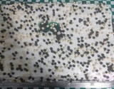 Bolo de chocolate