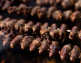 Coração de frango (coraçãozinho de galinha) para churrasco do Luizão