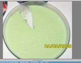 Mousse de limão