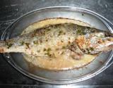 Peixe assado com creme de cebola