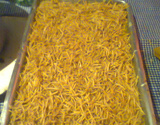Galinha escabelada
