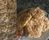 Biscoito vitaminado de aveia com chocolate ou uvas passa