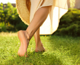 Planta que nasce em qualquer jardim e tem na rua é um anti-inflamatório gratuito para o seu corpo, comprovado pela ciência