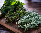 Temperos para cultivar em casa: saiba como e quais os tipos