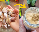 Alho em pó caseiro vai deixar as suas receitas muito saborosas: aprenda como fazer esse tempero sensacional