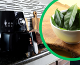 Farinha de Ora-pro-nóbis na airfryer: ingrediente perfeito para receitas de pães, bolos e doces nutritivos