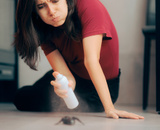 As formigas desaparecerão se um repelente natural for borrifado nas casas, e não é vinagre