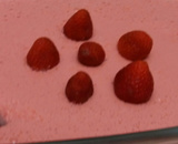 Gelatina da Barbie